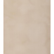 Панель ПВХ Фантазия бежевая 3000*250