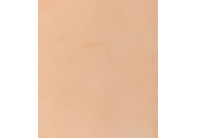 Панель ПВХ Фантазия персик 3000*250