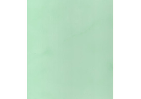Панель ПВХ Фантазия зеленая 3000*250